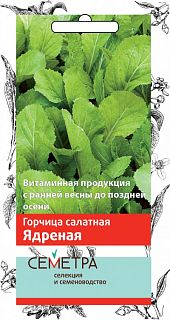 Семена Семетра Горчица салатная Ядрёная, 1 г фото