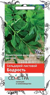 Семена Семетра Сельдерей листовой Бодрость А, 0,5 г фото