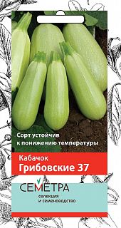 Семена Семетра Кабачок Грибовские 37, 2 г фото
