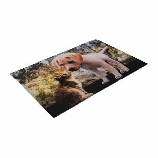 Коврик придверный Vortex Samba Котенок и щенок, влаговпитывающий, 40 x 60 см фото