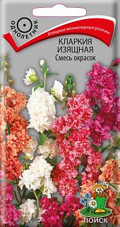 Семена цветов Поиск Кларкия изящная смесь окрасок, 0,2 г фото