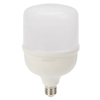 Лампа светодиодная высокомощная Rexant, E27, с переходником на E40, 50 Вт, 6500 К, холодный свет фото