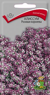 Семена цветов Поиск Алиссум Розовая королева, 0,3 г фото