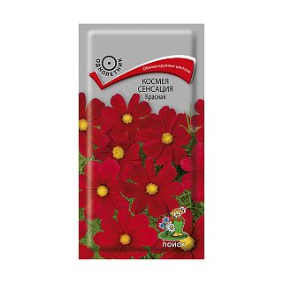 Семена цветов Поиск Космея Сенсация, красная, 0,3 г фото