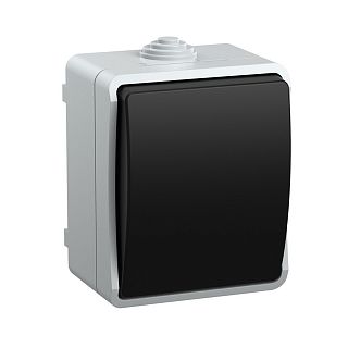 Выключатель одноклавишный накладной IEK Форс ВС20-1-0-ФСр, 10 А, IP54, серый фото