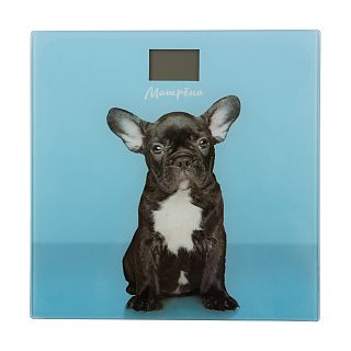 Весы напольные электронные Матрена МА-090, до 180 кг, собака фото