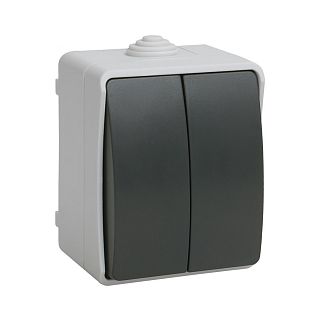 Выключатель двухклавишный накладной IEK Форс ВС20-2-0-ФСр, 10 А, IP54, серый фото