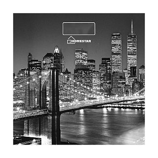 Весы напольные электронные Homestar HS-6001E Бруклинский мост, до 180 кг фото
