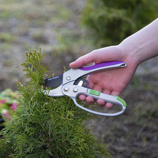 Секатор с защитной дугой Don Gazon, обрезиненные рукоятки, 200 мм фото