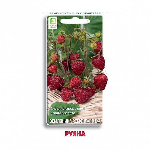 Семена Земляника ремонтантная Руяна Поиск, 100 шт фото
