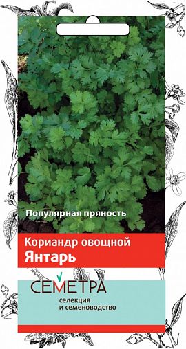 Семена Кориандр овощной Янтарь Семетра, 3 г фото