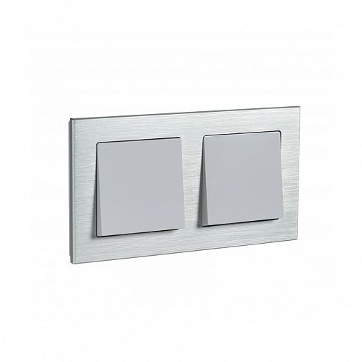 Рамка Systeme (Schneider) Electric Atlasdesign Nature, 2-поста, металл, серебро фото