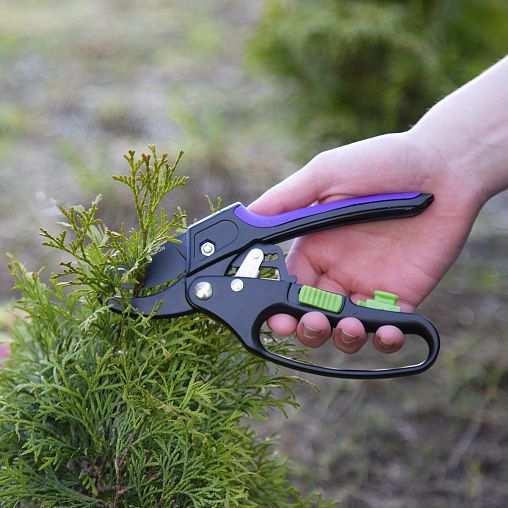 Секатор Don Gazon, с храповым механизмом и масленкой фото