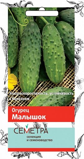 Семена Огурец Малышок Семетра, 0,5 г фото