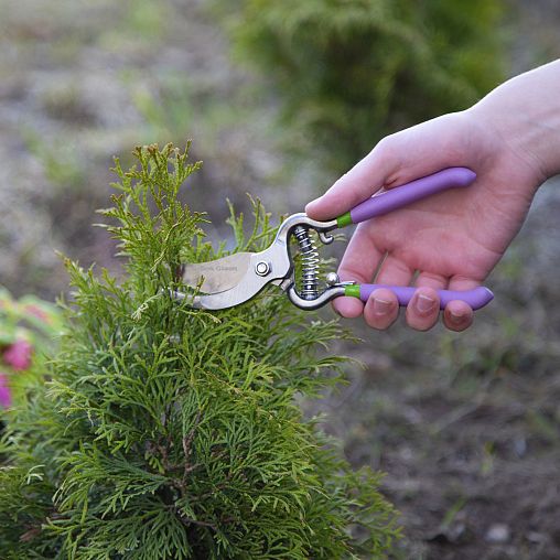 Секатор прямой Don Gazon, цельнометаллический, обрезиненные рукоятки, 200 мм фото