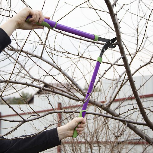 Сучкорез с наковаленкой Don Gazon, 750 мм фото