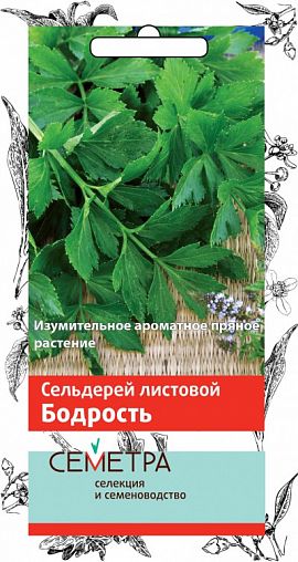 Семена Сельдерей листовой Бодрость Семетра, 0,5 г фото