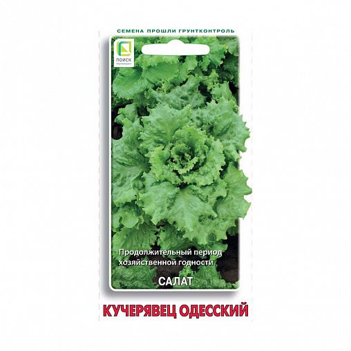 Семена Салат Кучерявец одесский Поиск, 1 г фото