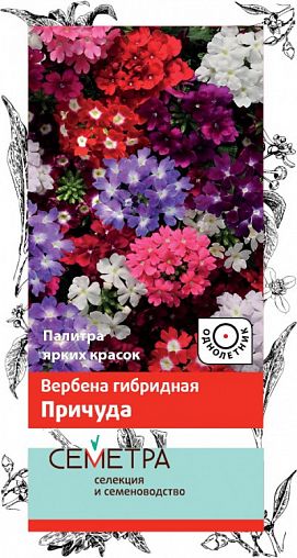 Семена цветов Семетра Вербена гибридная Причуда, 0,2 г фото