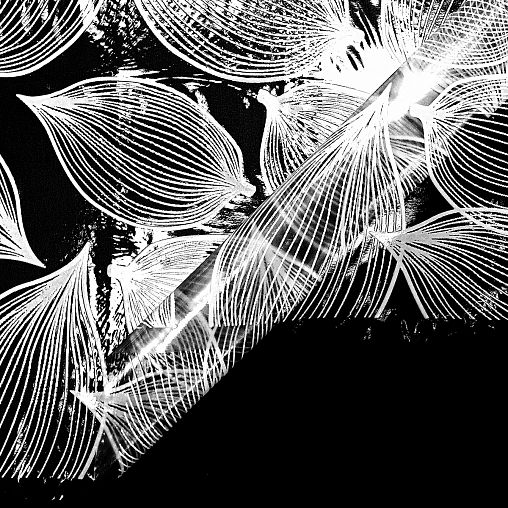 Клеенка столовая ПВХ Вилина Муза, 1,32 x 22 м, физалис фото