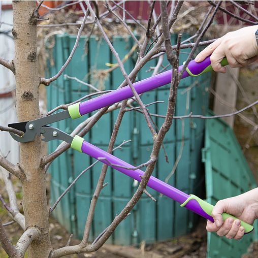 Сучкорез с наковаленкой Don Gazon, 750 мм фото