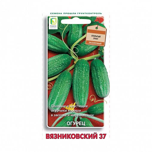 Семена Огурец Вязниковский 37 Поиск, 15 шт фото