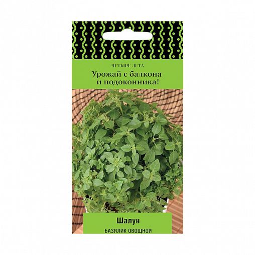 Семена Базилик овощной Шалун Поиск Четыре лета, 0,1 г фото