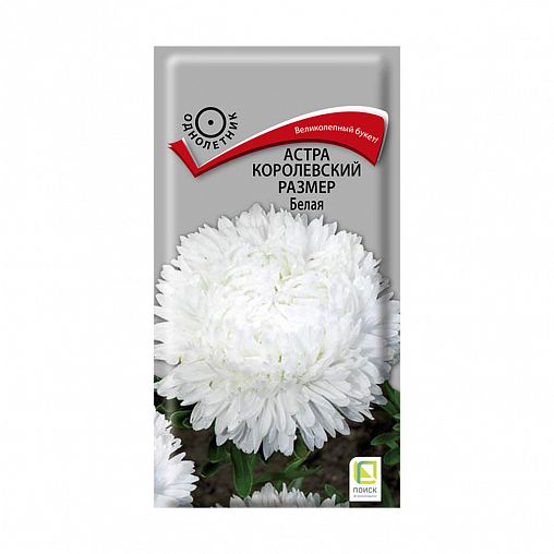 Семена цветов Астра Королевский размер Белая Поиск, 0,1 г фото