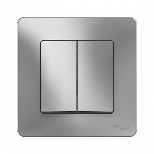 Переключатель 2-клавишный Systeme (Schneider) Electric Blanca, встраиваемый, в сборе, алюминий фото
