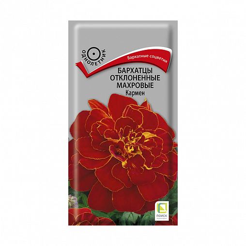Семена цветов Бархатцы отклоненные махровые Кармен Поиск, 0,4 г фото