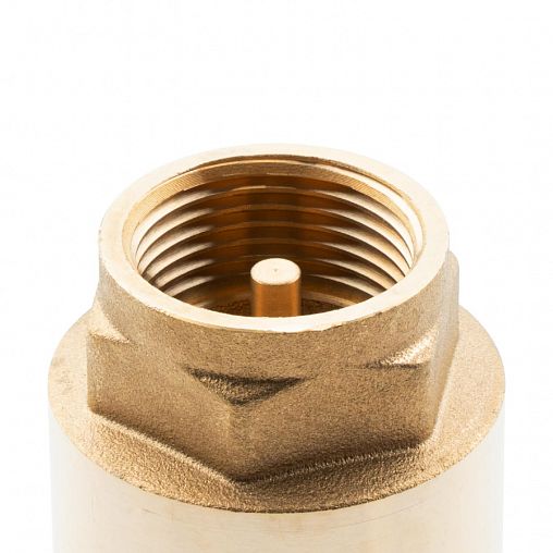 Клапан обратный пружинный Alato, с латунным седлом, 1" фото