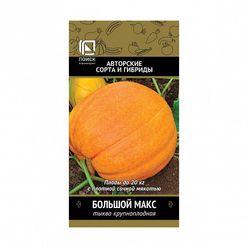 Семена Тыква крупноплодная Большой Макс Поиск Авторские сорта и гибриды, 10 шт фото