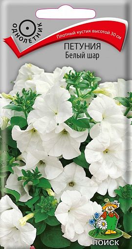 Семена цветов Петуния Белый шар Поиск, 0,1 г фото