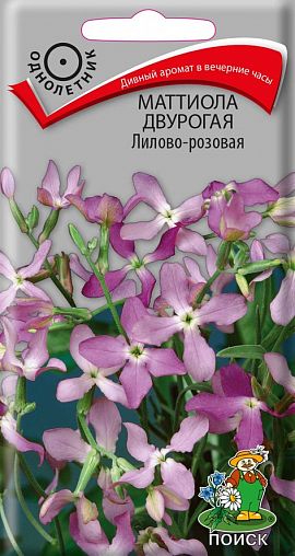 Семена цветов Маттиола двурогая лилово-розовая Поиск, 0,3 г цена - купить в  интернет-магазине