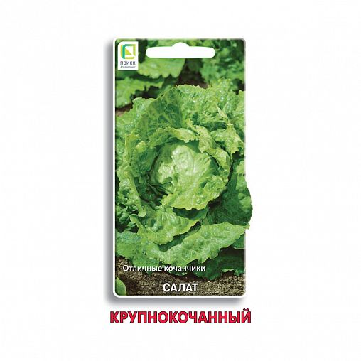 Семена Салат Крупнокочанный Поиск, 1 г фото
