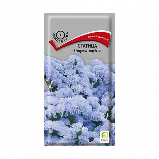 Семена цветов Статица Суприм голубая Поиск, 0,15 г фото