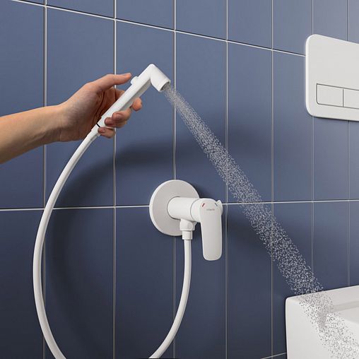 Встраиваемый гигиенический душ со смесителем Milardo Rora, белый матовый фото