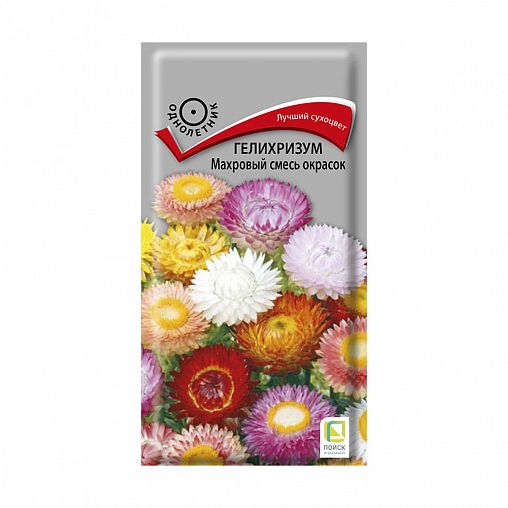 Семена цветов Гелихризум Махровый смесь окрасок Поиск, 0,25 г фото