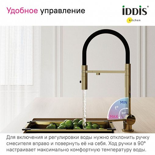 Смеситель для кухни IDDIS Ace, с гибким изливом и подключением к фильтру, золото матовое фото