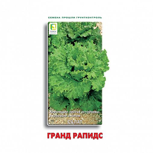 Семена Салат Гранд Рапидс Поиск, 1 г фото
