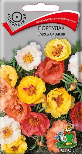 Семена цветов Портулак смесь окрасок Поиск, 0,1 г фото