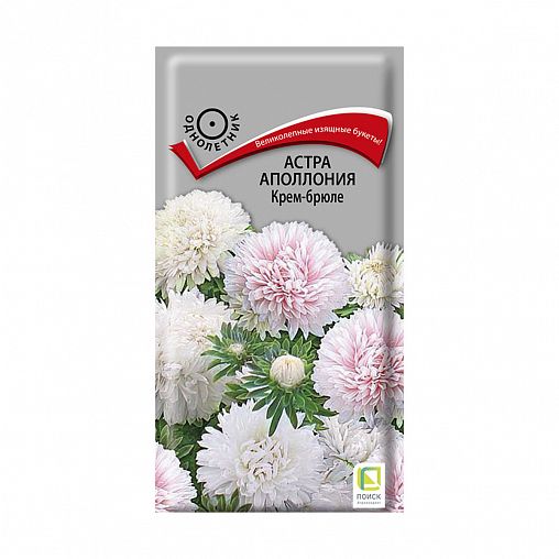 Семена цветов Астра Аполлония Крем-брюле Поиск, 0,3 г фото