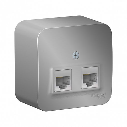 Розетка компьютерная RJ45 двойная Systeme (Schneider) Electric Blanca, накладная, алюминий фото