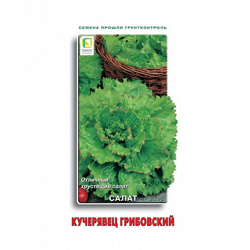 Семена Салат Кучерявец грибовский Поиск, 1 г фото