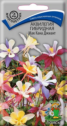 Семена цветов Аквилегия Мак Кана Джиант Поиск, 0,1 г фото