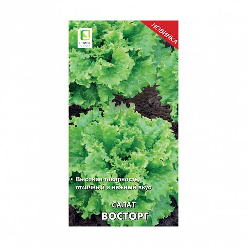 Семена Салат Восторг Поиск Авторские сорта и гибриды, 1 г фото
