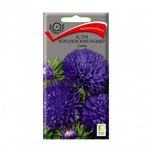 Семена цветов Астра Королевский размер Синяя Поиск, 0,1 г фото