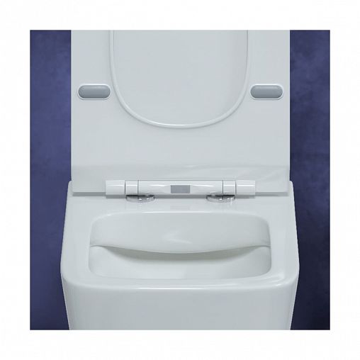 Унитаз подвесной безободковый Berges Floe, 55 x 36 x 40 см, белый фото