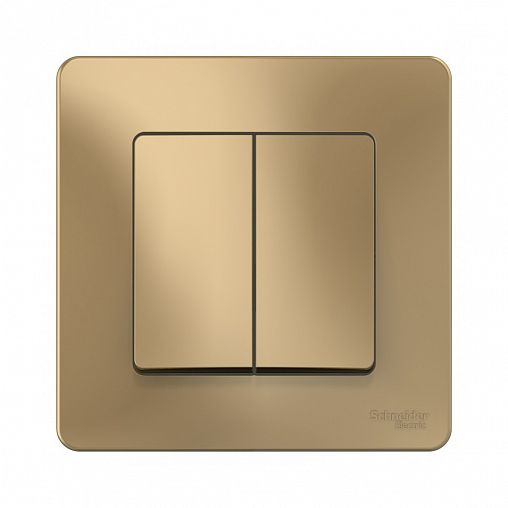 Переключатель 2-клавишный Systeme (Schneider) Electric Blanca, встраиваемый, в сборе, титан фото