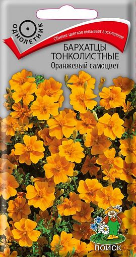 Семена цветов Бархатцы тонколистные Оранжевый самоцвет Поиск, 0,1 г фото